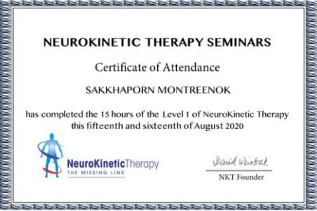 Level 1 of NeuroKinetic Therapy